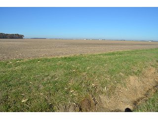 Tract 2 - FARMLAND AUCTION - 165.5+/- ACRES OFFERED IN 5 TRACTS OR COMBINATIONS IN EAST ALLEN COUNTY